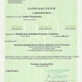 Powiększ obraz: certificate 1