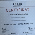 Powiększ obraz: certificate 2
