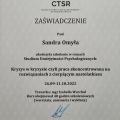 Powiększ obraz: certificate 3