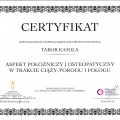 Powiększ obraz: certificate 1
