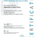 Powiększ obraz: certificate 1