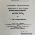 Powiększ obraz: certificate 6