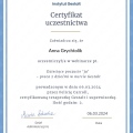 Powiększ obraz: certificate 5
