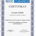 Powiększ obraz: certificate 4