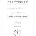 Powiększ obraz: certificate 21