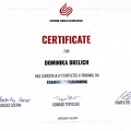 Powiększ obraz: certificate 2