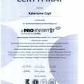 Powiększ obraz: certificate 2
