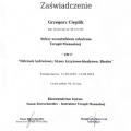 Powiększ obraz: certificate 7