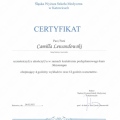 Powiększ obraz: certificate 10