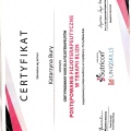 Powiększ obraz: certificate 8