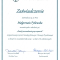 Powiększ obraz: certificate 6