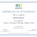Powiększ obraz: certificate 6