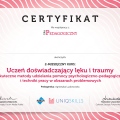 Powiększ obraz: certificate 4