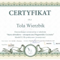 Powiększ obraz: certificate 9