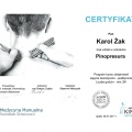 Powiększ obraz: certificate 4