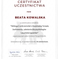 Powiększ obraz: certificate 20