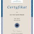 Powiększ obraz: certificate 1