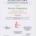 Powiększ obraz: certificate 22