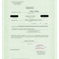 Powiększ obraz: certificate 28