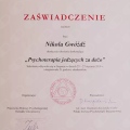Powiększ obraz: certificate 2