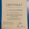 Powiększ obraz: certificate 6