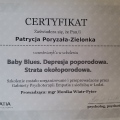 Powiększ obraz: certificate 9