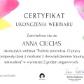 Powiększ obraz: certificate 23