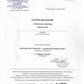Powiększ obraz: certificate 3