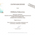 Powiększ obraz: certificate 6