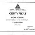Powiększ obraz: certificate 3
