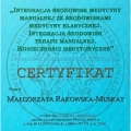 Powiększ obraz: certificate 6