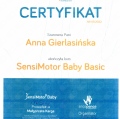 Powiększ obraz: certificate 17