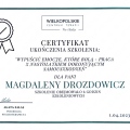 Powiększ obraz: certificate 40
