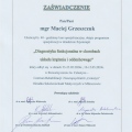 Powiększ obraz: certificate 7