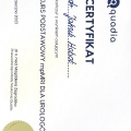 Powiększ obraz: certificate 1