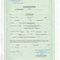 Powiększ obraz: certificate 4