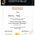 Powiększ obraz: certificate 10