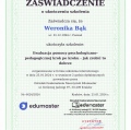 Powiększ obraz: certificate 9