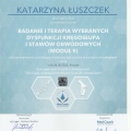 Powiększ obraz: certificate 13