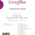 Powiększ obraz: certificate 7
