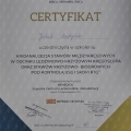 Powiększ obraz: certificate 2