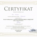 Powiększ obraz: certificate 3