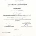 Powiększ obraz: certificate 1