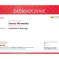 Powiększ obraz: certificate 31
