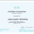 Powiększ obraz: certificate 8
