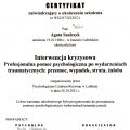 Powiększ obraz: certificate 11