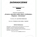 Powiększ obraz: certificate 3