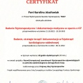Powiększ obraz: certificate 7