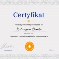 Powiększ obraz: certificate 1