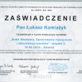 Powiększ obraz: certificate 4